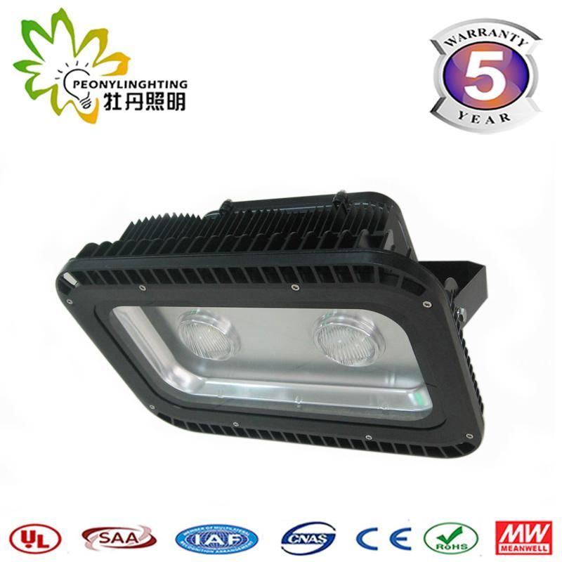 100W Classical IP67 LED Flood Light with Good Quality COB Chips Flood Lights