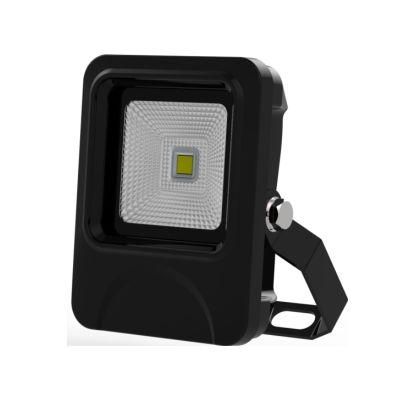 Hot Sale Private Module COB 10W 20W 30W 50W 100W 150W LED Flood Light