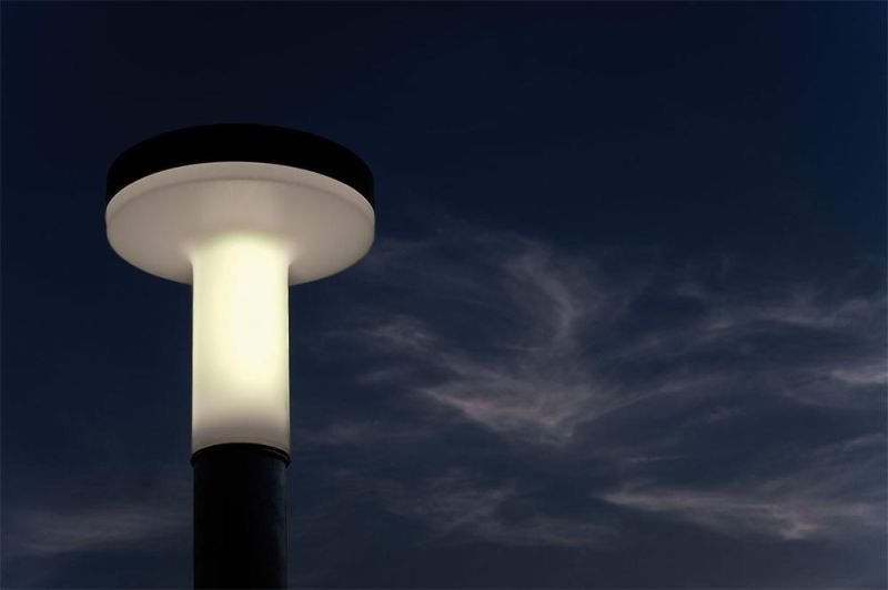 Boletus Outside C Waterproof Landscape LED Bollard Garden Outdoor Light