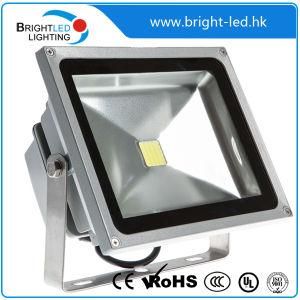 50W IP65 LED Floodlight 110lm/W From Shanghai