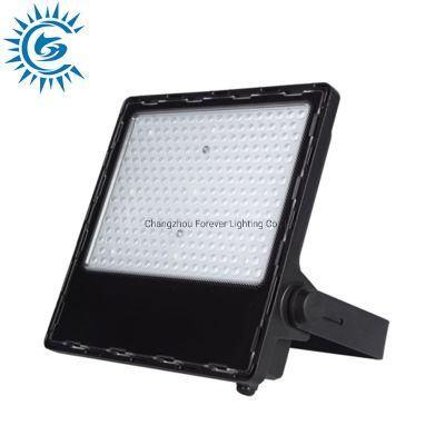 High Lumens IP65 50W 100W 150W 200W LED Flood Light