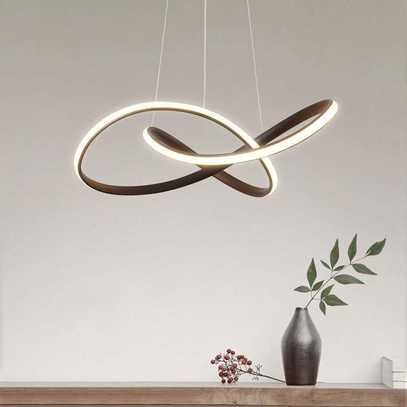 2022 Simple Modern Ceiling Lamp Circle Ring Pendant Lamp LED Night Lamp for Restaurant Bedroom