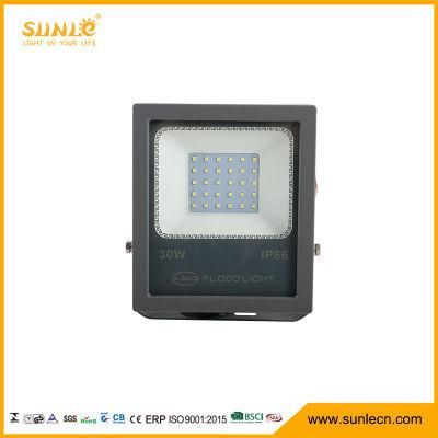 IP66 Waterproof 30W SMD Outdoor Lamp LED Floodlight with Competitive Price