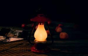 Wildland New Item LED Outdoor Camping Lamp Desk Lamp