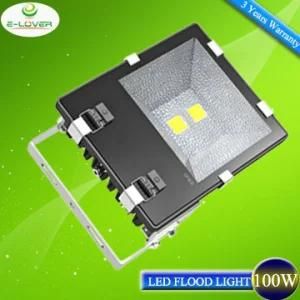 CE&RoHS Bridgelux Chips 100W Outdoor LED Floodlight