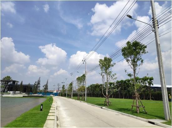 Energy Saving IP66 180W LED Streetlight