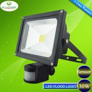 IP65 Epistar Chips30W LED Floodlight with Sensor