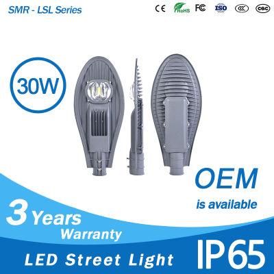 LED Light Source 30W Outdoor Waterproof COB LED Street Light Roadway Lighting