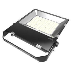 China Commercial Solar LED Flood Lights Outdoor 10W-100W for Garage