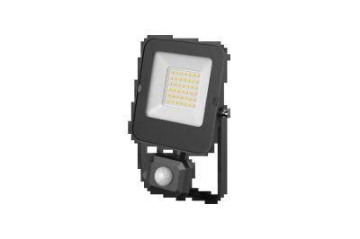 Outdoor IP65 Waterproof Project Reflector Sensor 30W LED Floodlight SMD High Power Floodlight with CE CB