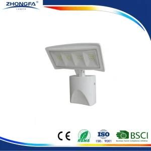 1700lm IP44 Ce RoHS GS Outdoor LED Security Light