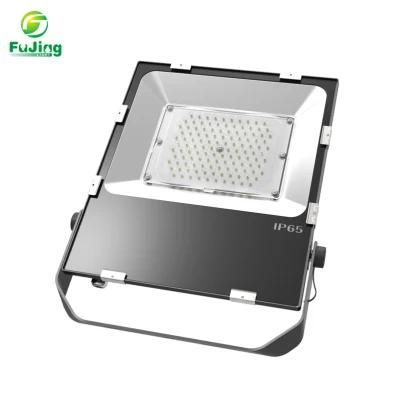 IP65 Waterproof Outdoor LED Floodlight 100W