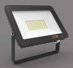 Toughened Glass Lens IR Sensor 30W LED Floodlight IP44