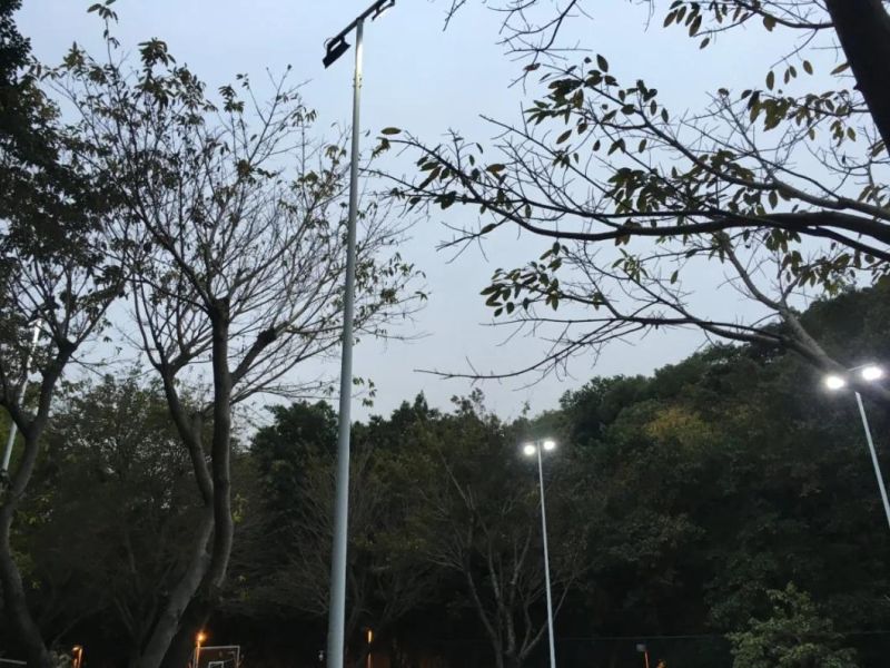 250-300 Watt Outdoor LED Flood Light 37500lm Aluminum IP66 for Main Road and Industrial Area High Lumen LED Driving Lights Highway Bridge Decorative 50 - 60Hz