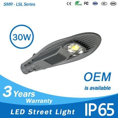 Aluminium Body 30W 50W 60W 100W COB Economic LED Street Light