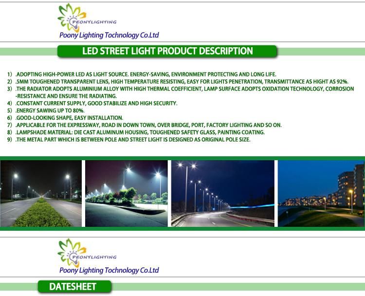 Tempered Glass LED Street Light 90W Wih ENEC