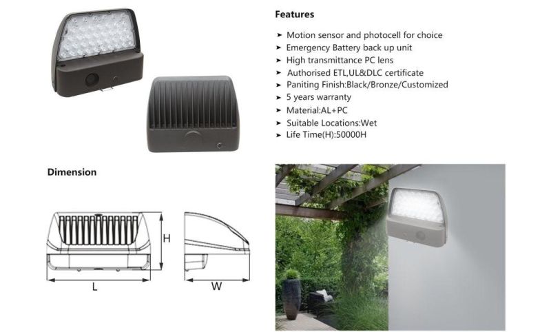Aluminum 42W LED Outdoor Down Wall Pack Light with UL&Ce Certificate