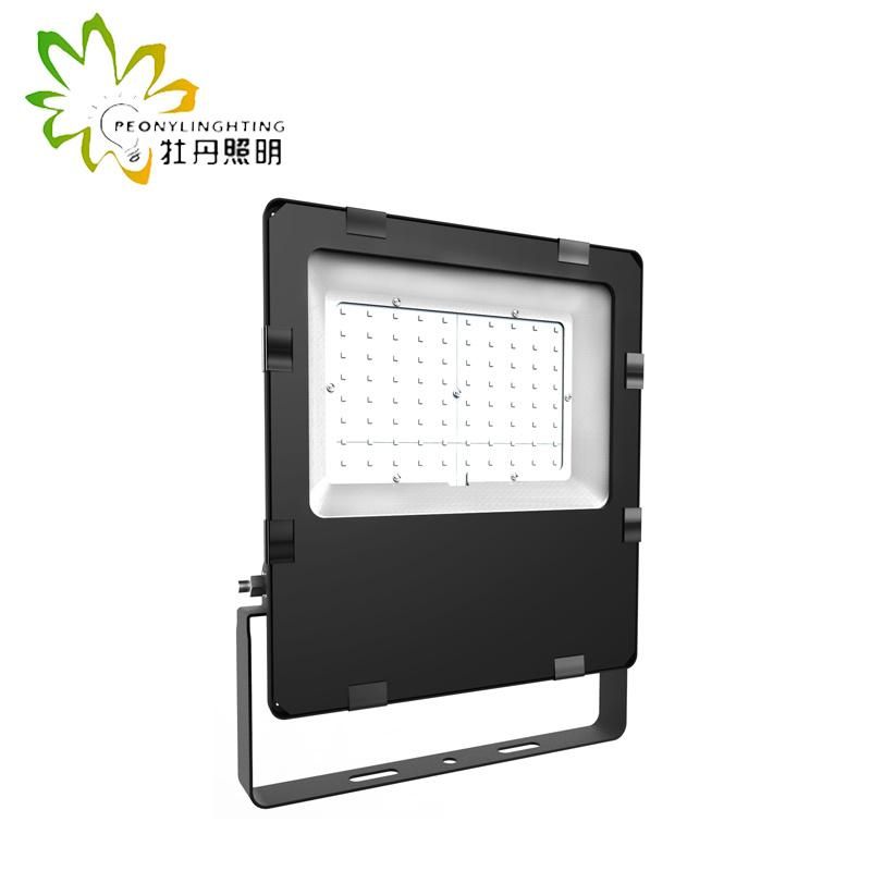 2019 Newest 120lm/W LED Floodlight with 120 Degree Beam Angle 100W Floodlight
