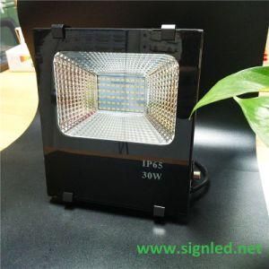 Ultra Thin LED Aluminum Glass 30watts LED Floodlight
