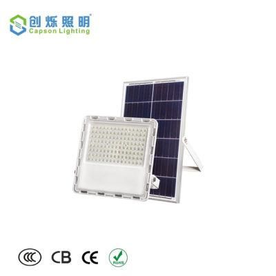 2020 Latest Waterproof Outdoor Garden Floor LED Solar Flood Light Landscape Garden Plastic Solar LED Light