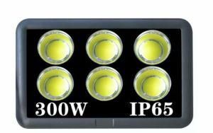 2 Years Warranty IP65 Outdoor 300W LED Flood Light