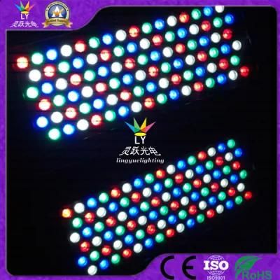 192X3w RGBW Outdoor LED Wall Washer City Color