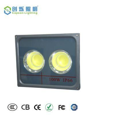 Slim Type IP66 Outdoor COB LED Flood Light 100W