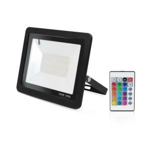 L/C Accept Factory Isolated RGB LED Flood Light50W 100W 150W 200W with Remoter