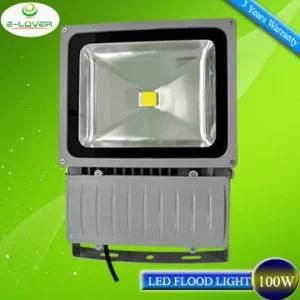 Epistar COB Chips 80lm/W 100W LED Flood Light Outdoor