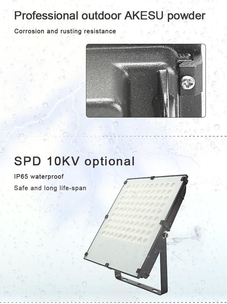 50W 100W High Lumens Outdoor Light IP65 Long-Distance LED Floodlight