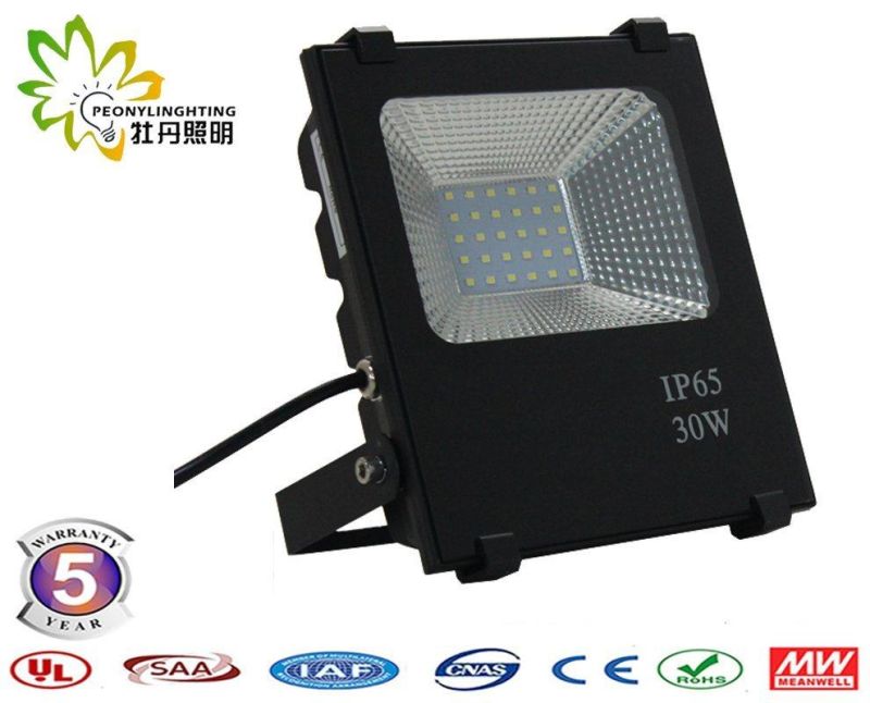 Good Quality with 5 Years Warranty 30W SMD LED Floodlights, 30W LED Floodlight