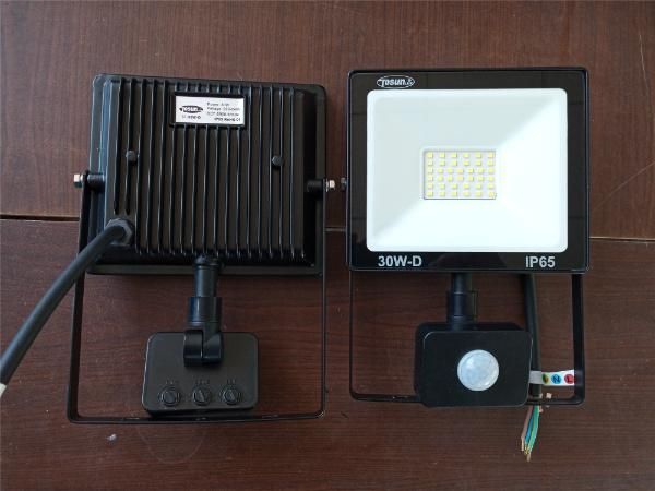 20W LED Flood Light with PIR Sensor