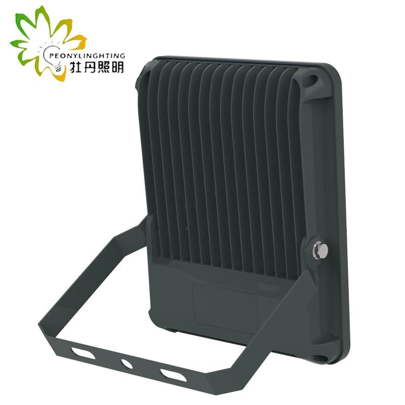 2019 Newest 5 Years Warranty LED 50W Flood Lighting with COB Chips