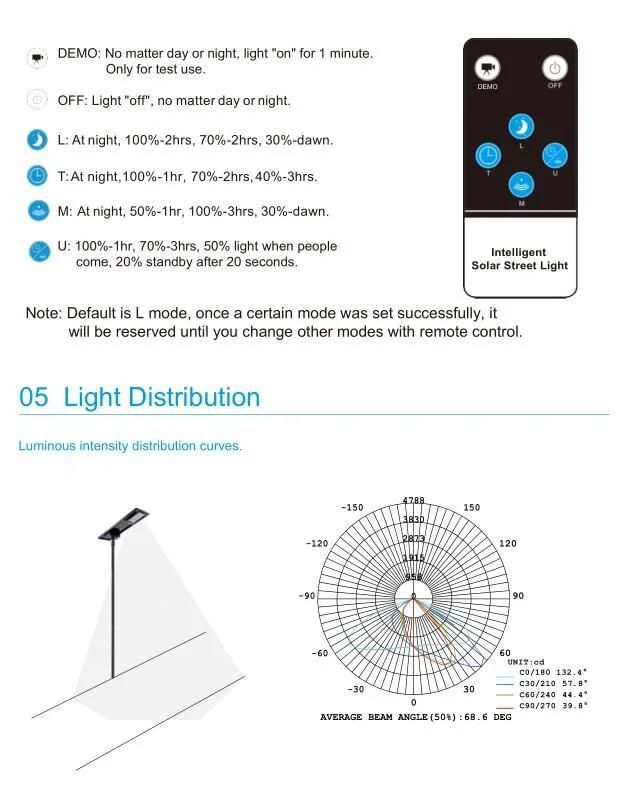 80W Bifacial Solar Panel All in One Solar LED Street Light