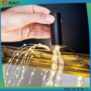 Festival Flashing Blinky LED String Lights