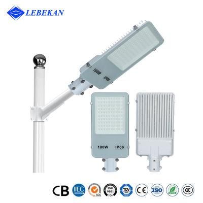 Electrical AC 85~265V Input City Road Lamp Manufacture All Wattage Street Light 50W 100W Garden Outdoor Lighting