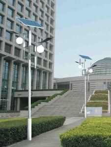 60W 5years Warranty LED Light (JS-A2015950) (JINSHANG SOLAR)