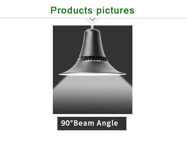 80W High Quality Aluminum Housing with 5 Years Warranty IP66 LED Garden Light