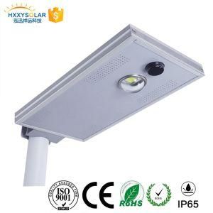 10W All in One Solar LED Bulb Lighting for The Yard with Mini Solar Battery Panel