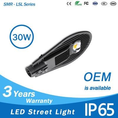 High Lumens LED Street Light Waterproof IP65 Outdoor Lighting Ce RoHS Cheap Price COB 30W LED Street Light