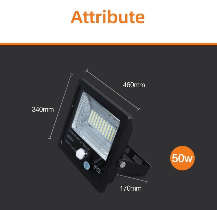 High Quality 100W COB 30W Camera Solar Flood Lamp for Mini Stand Flood Light