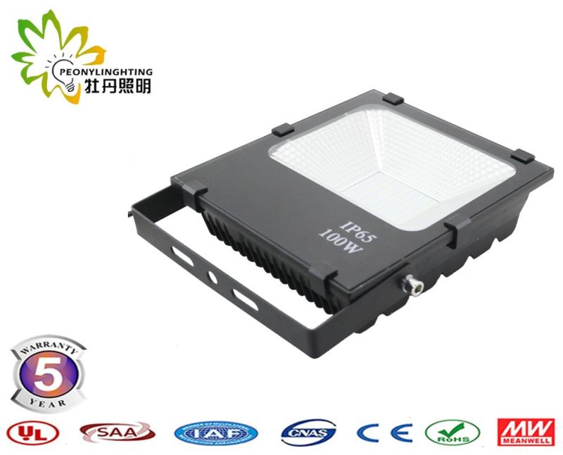Good Quality with 5 Years Warranty 100W SMD LED Floodlights, 100W LED Floodlight