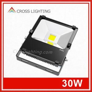 CE Approval COB 30W LED Floodlight