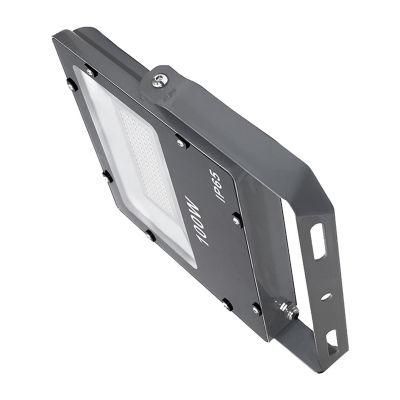 OEM/ODM CE RoHS IEC Certified High Mast 100W LED Flood Light Waterproof IP65 AC96-305V Aluminum Housing Ik08