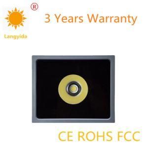 Factory Direct Sell 50W Ce RoHS Outdoor Light