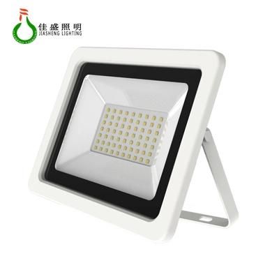 30W 50W LED Flood Light