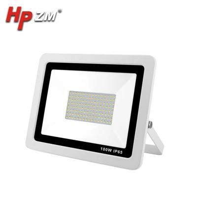 100W LED Flood Light Stainless Steel Stand Flood Light