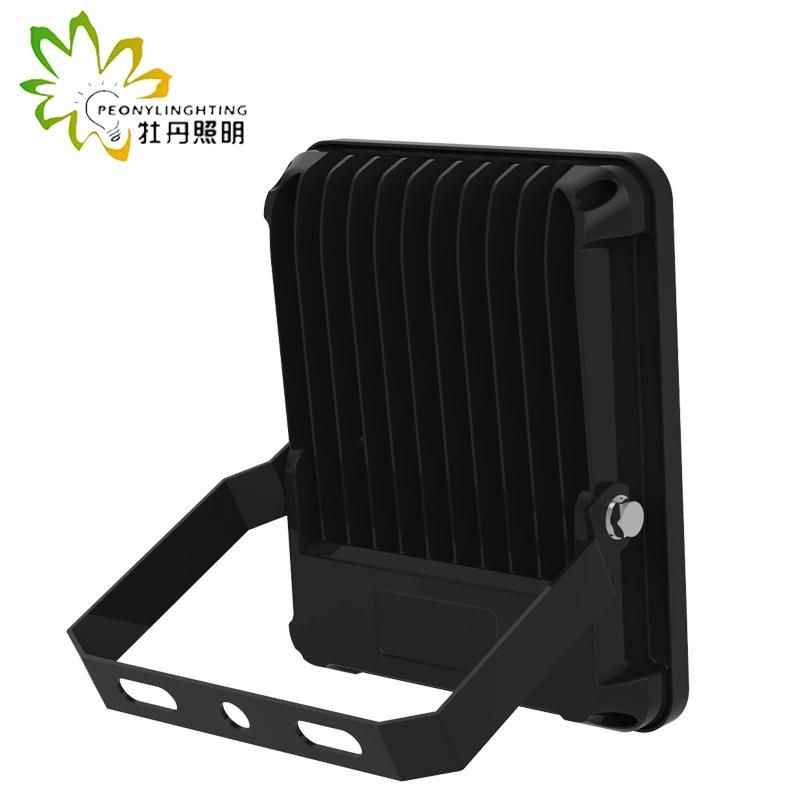 2019 Newest 5 Years Warranty LED 30W Flood Lighting with COB Chips