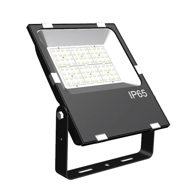 Die-Casting Aluminum 5year Warranty 30W 50W 80W IP66 LED Floodlight