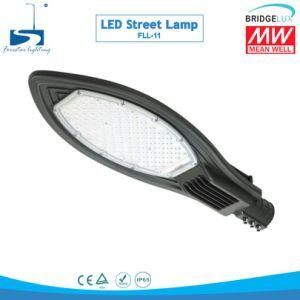 60W Die Cast Aluminum LED Outdoor Lamp
